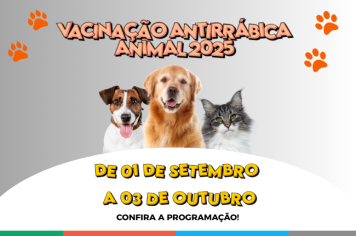 Maria da Fé inicia campanha de vacinação antirrábica para cães e gatos 