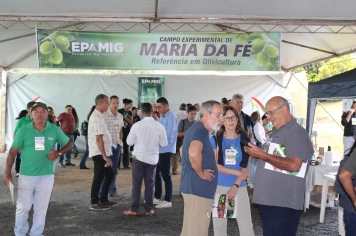 Maria da Fé sedia Azeitech 2026 e reforça protagonismo na olivicultura