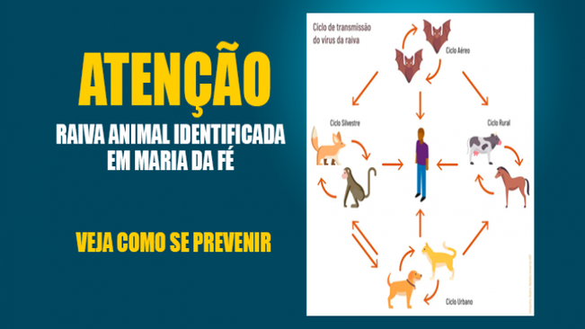Raiva animal identificada em Maria da Fé. Veja como se prevenir: